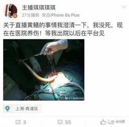 黄鳝女主播有网站吗,黄鳝女主播网站之谜