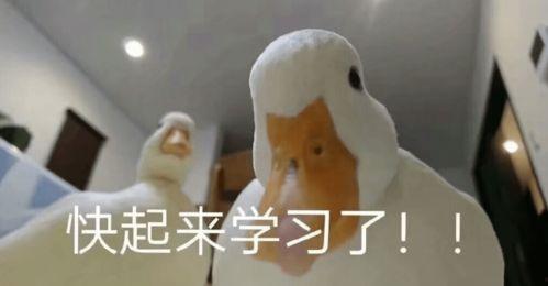 娱乐圈吃瓜鸭微博,揭秘明星幕后故事